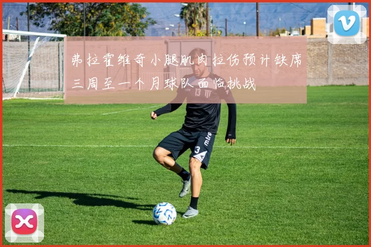 弗拉霍维奇小腿肌肉拉伤预计缺席三周至一个月球队面临挑战